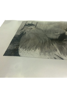 Tulostuskankaat ja kuvasiirtokalvot | Ullaka